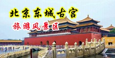 爱骑艺成人中国北京-东城古宫旅游风景区